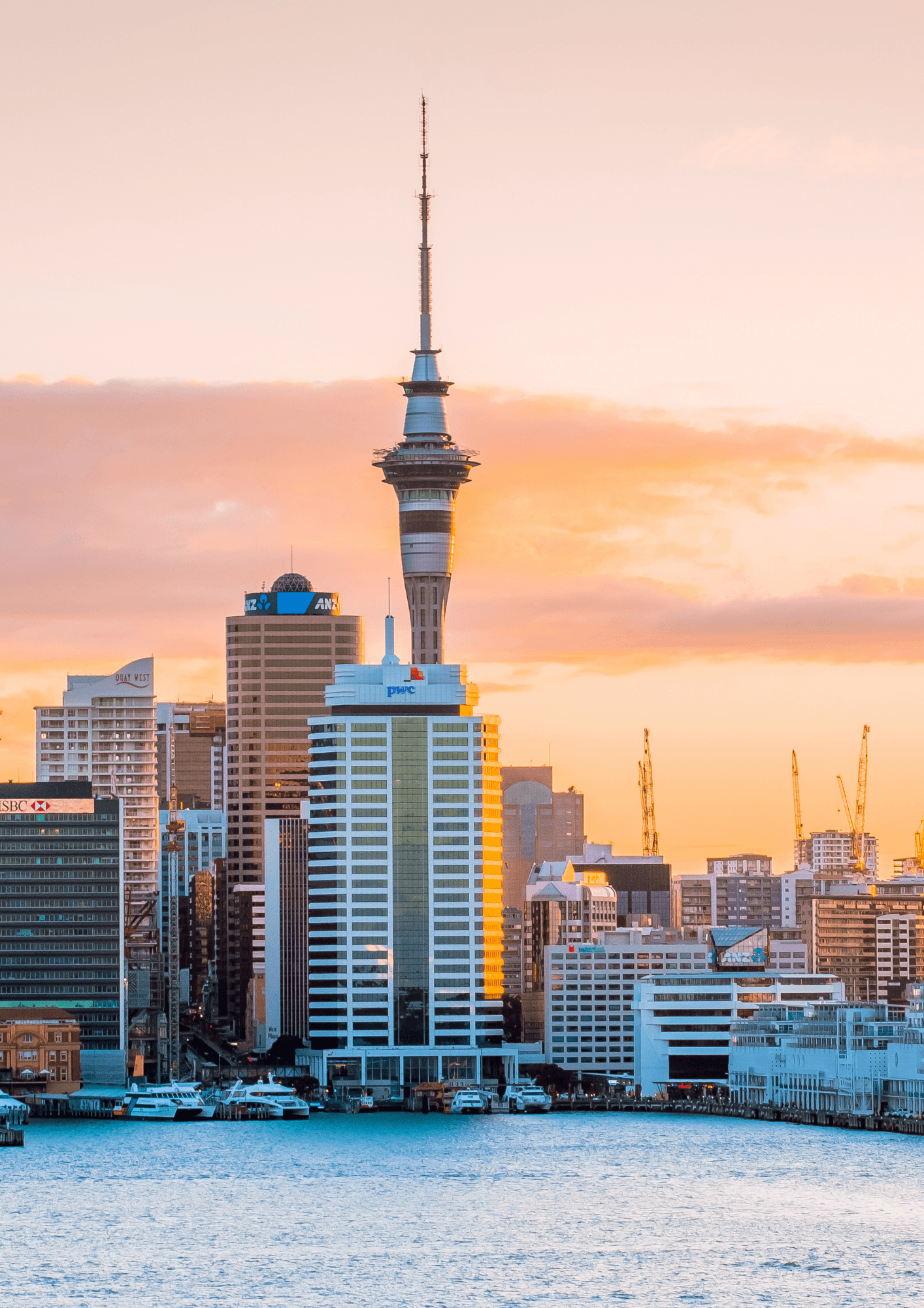 New Zealand market edition