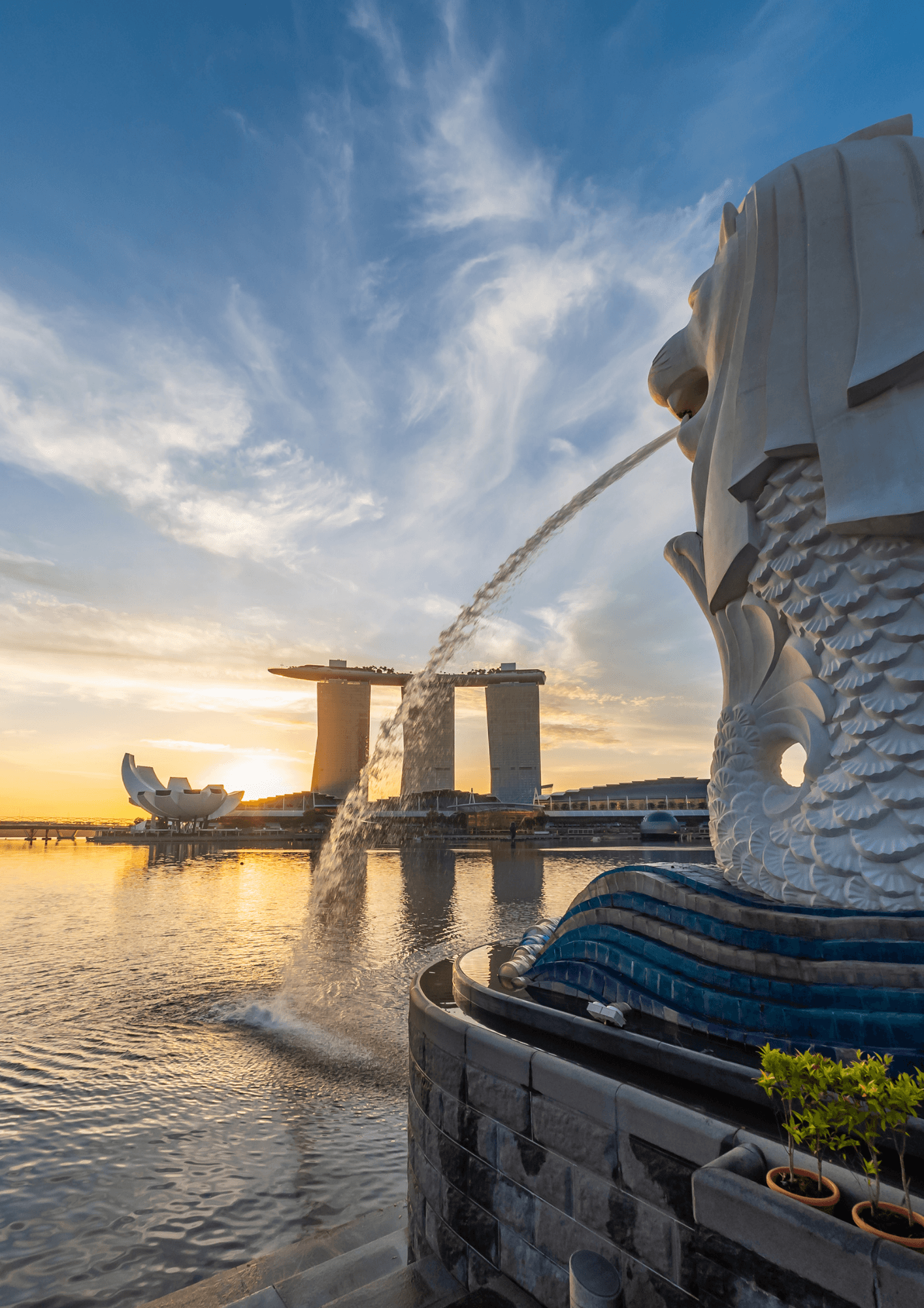 Singapore market edition